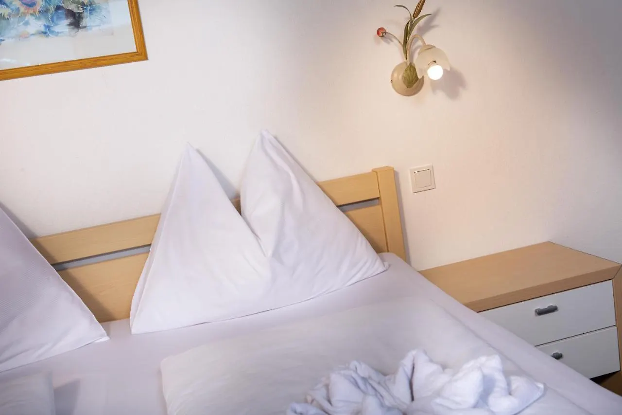 Appartementhaus Tannenberg Saalbach-Hinterglemm Apartment
